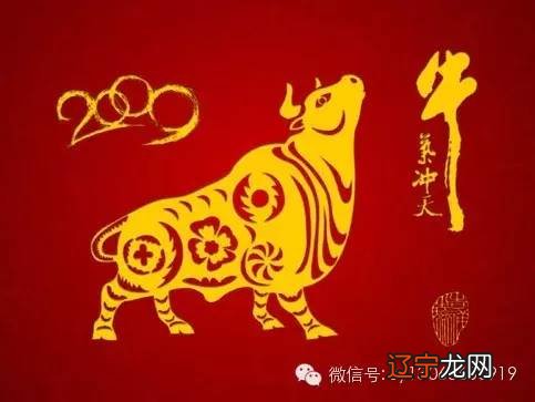 属鼠2015年属鼠运程大全及破解方法