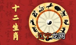 生肖85年属什么的生肖什么命到了合适的年龄