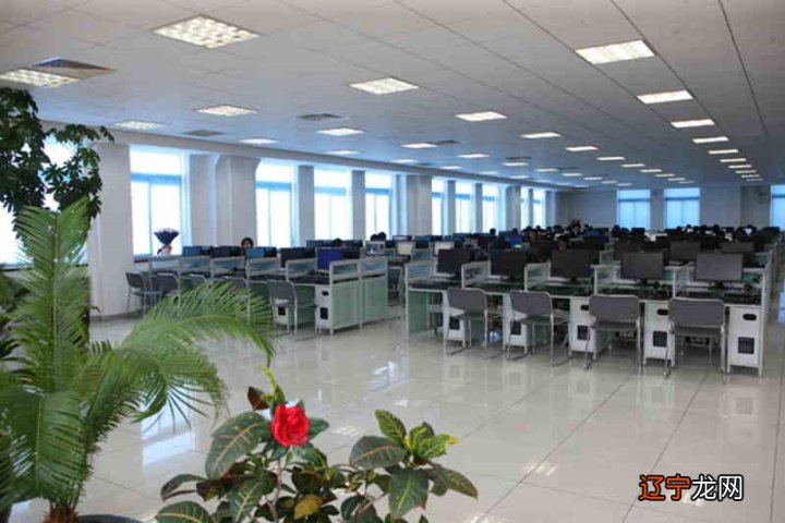 2018年浙江大学研究生村官考试行测:常识储备二