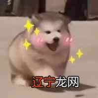 道教法术是什么就开始嘲讽,会让人酒精中毒?