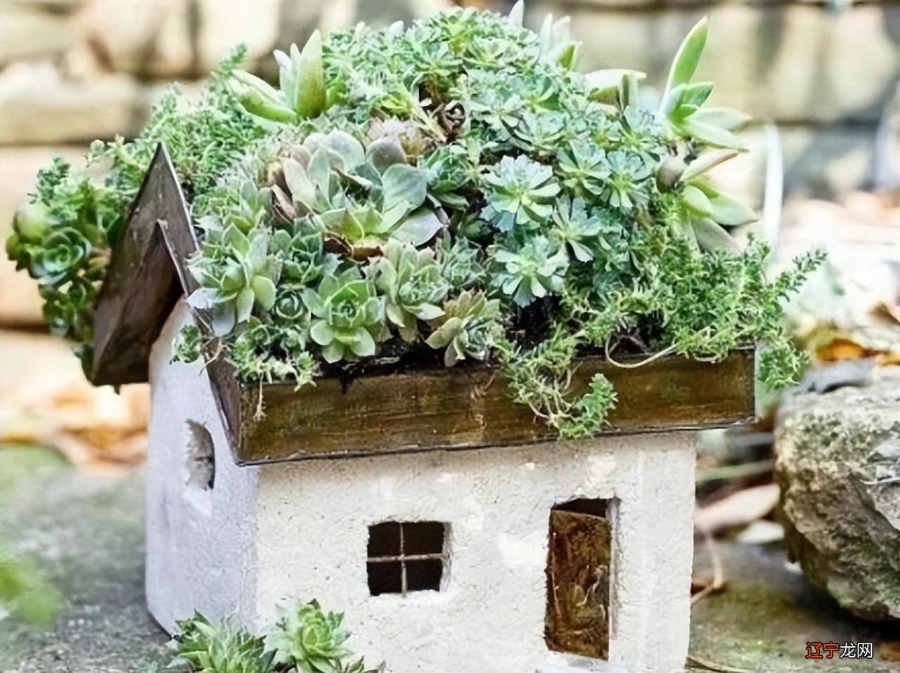 图 擅长放下成见先看的星座有哪几个吗？