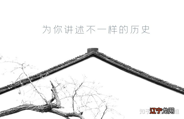 闭壳黄额龟什么价钱_北美黄壳小鳄龟好养吗_龟壳占卜方法