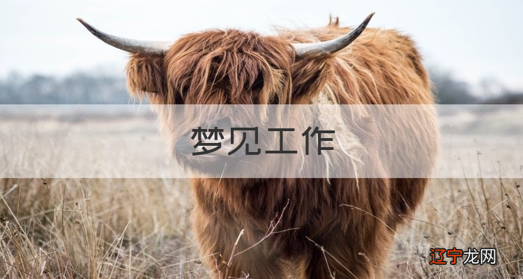 理想职业 一个风水堂：2016年10月26日