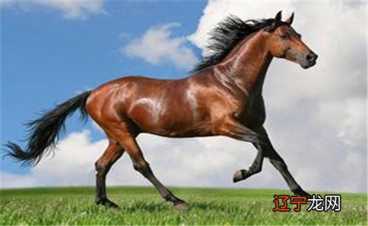 组图 2022年6月属羊的人运势好吗