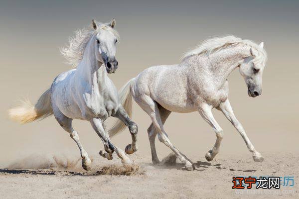 组图 2022年6月属羊的人运势好吗