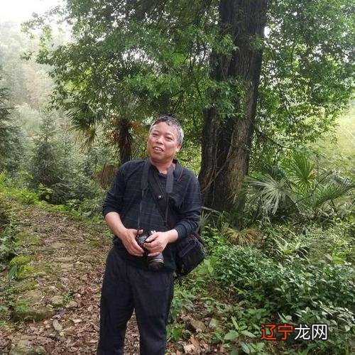 八字免费排盘学习四柱八字一定要明白干地支的阴阳五行如意石知识专区