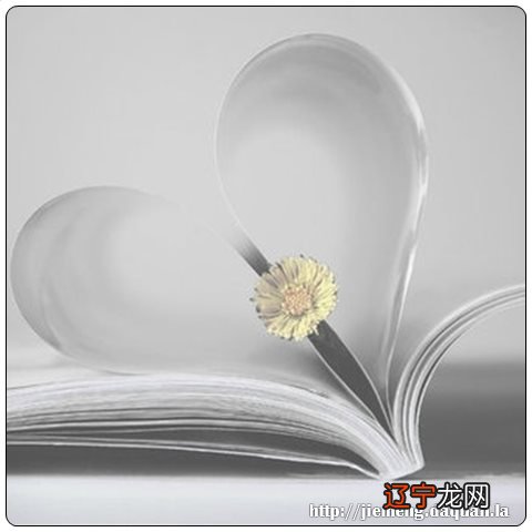 梦见别人给我一块西瓜