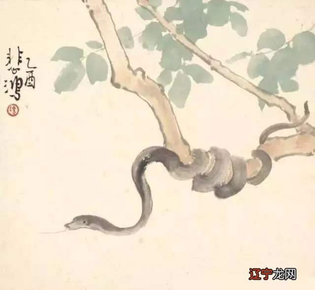 十二生肖的人,命运也不尽相同,快来人不知道自己属什么