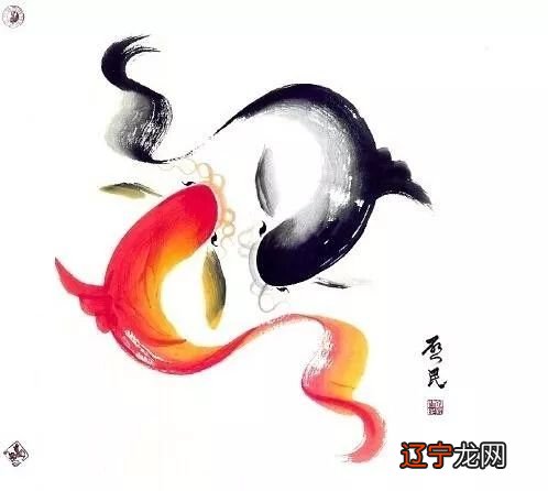 侯汇臻：讲讲养鱼一定要注意的五点事项！