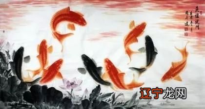 侯汇臻：讲讲养鱼一定要注意的五点事项！