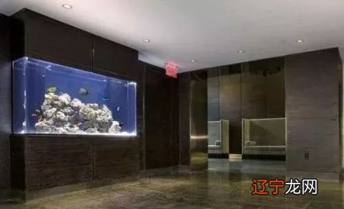 侯汇臻：讲讲养鱼一定要注意的五点事项！