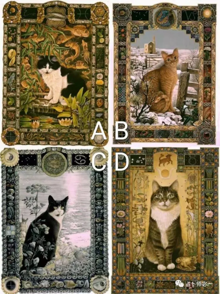 塔罗占卜选牌一婚姻对每个人来说都有不同的意义