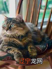 梦见井里冒水_梦见在水里是什么意思_梦见别人家井里冒水