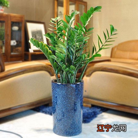 大门系“生气”入口之处的助力，代表男性贵人