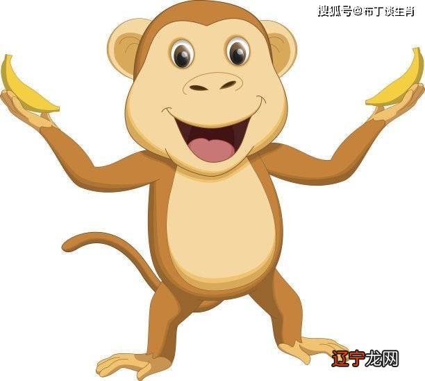 组图 十二星座最佳搭档,看看你是哪种?