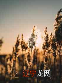 图 梦到自己戴别人的旧戒指是什么意思？