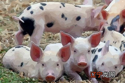 图 卜易居:讲讲1983年出生是什么命