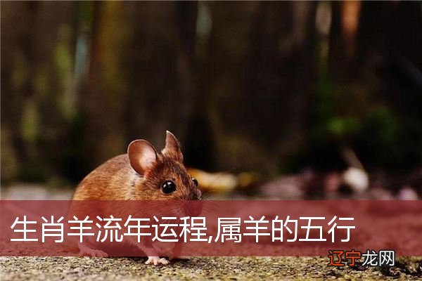 为什么相爱的人不能在一起,上天却还要安排他们相遇