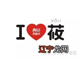 土象火象风象水象星座怎么分_星座土象火象水象_土象星座的审美