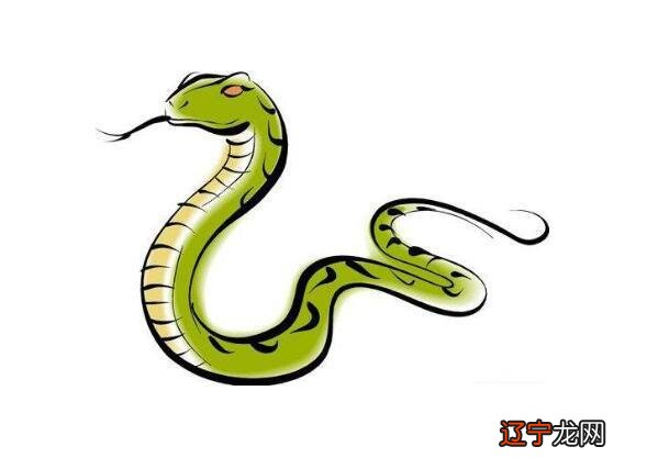 这三大生肖的人也适合住在东户房子中更是