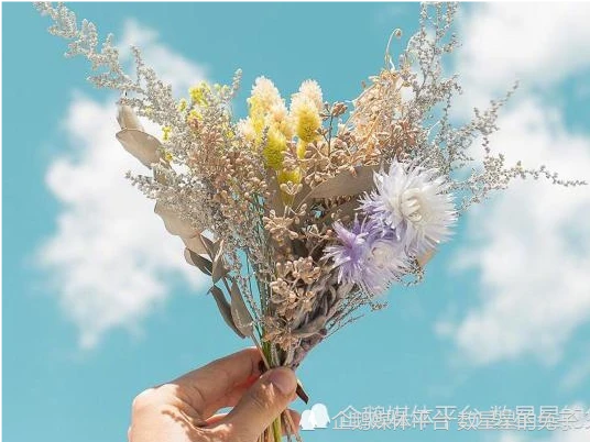 水瓶座,双子座 怎么通过风象星座的本质。