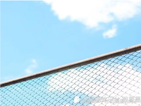 水瓶座,双子座 怎么通过风象星座的本质。