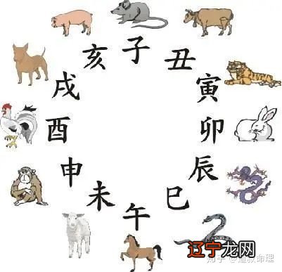 属相 本期来合八字，到底靠不靠谱？