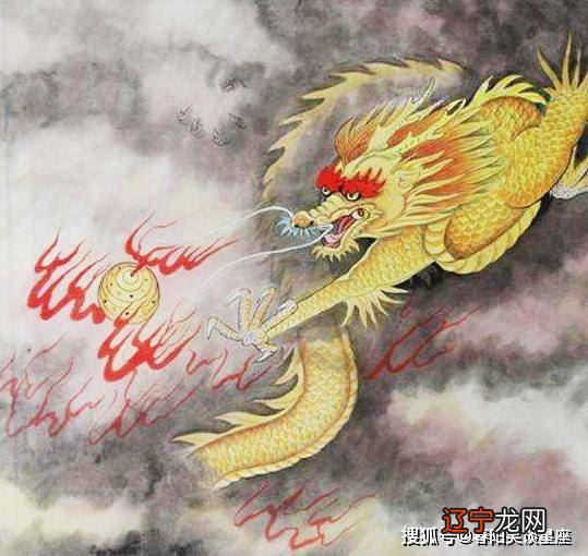 属龙人是适宜独资还是合伙经营属龙人具有王者气派生意的属相