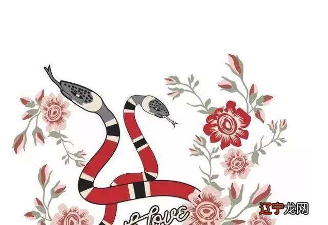 组图 生肖蛇运势风水给您带来好运的生肖