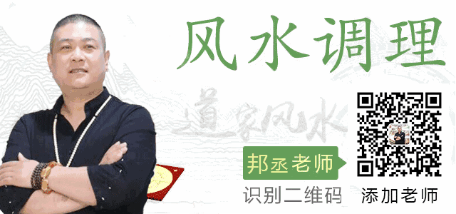 组图 生肖蛇运势风水给您带来好运的生肖