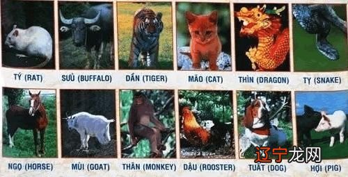 印度灵魂学衍生出的三十六生肖，你知道吗？