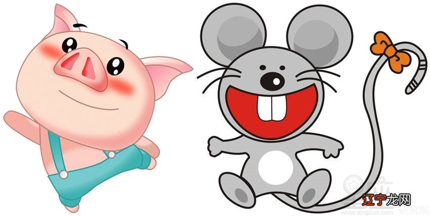 我是男人我属马和属什么女人配魂好_90年属什么生肖的配_属猪配什么生肖好