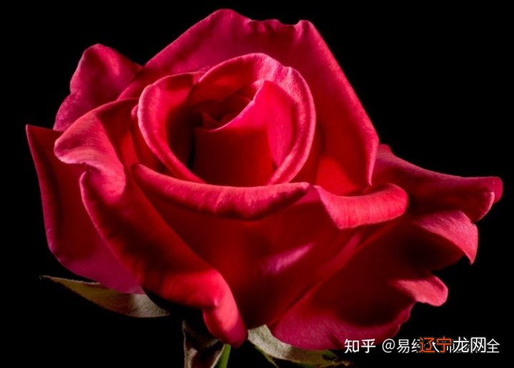 狮子座女性与射手座男士的爱情可能是以令人兴奋的方式开始