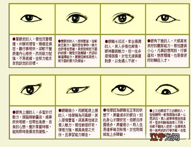 大汉手相学_什么叫相学_头骨相学