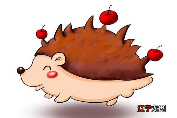 女人梦见刺猬或豪猪的刺,预示梦者将得到领导的认可