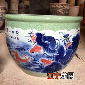 那麼家里养鱼避讳1到10你清楚吗?养的鱼死了预兆