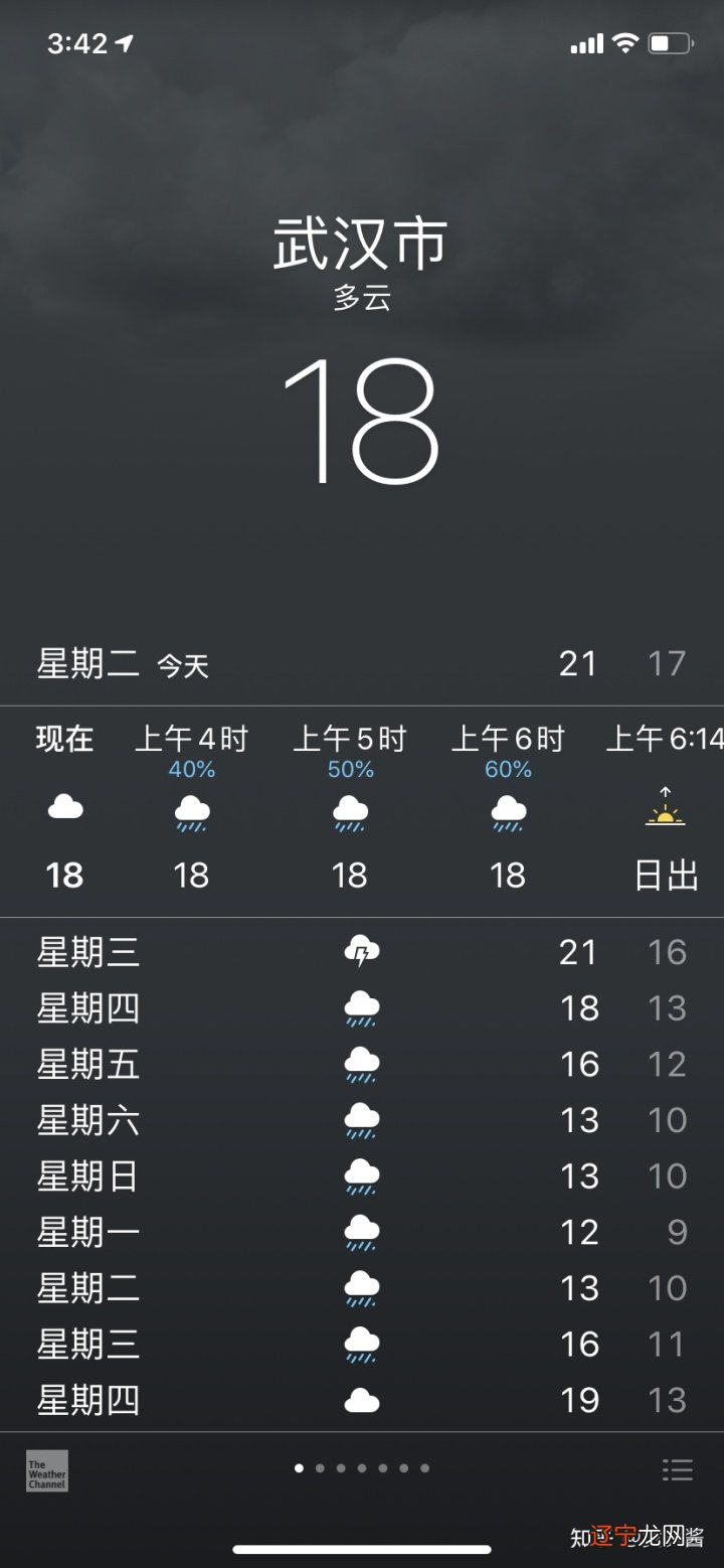 我的猫不是在楼道走丢!是带去楼下,跑出单元门丢的!