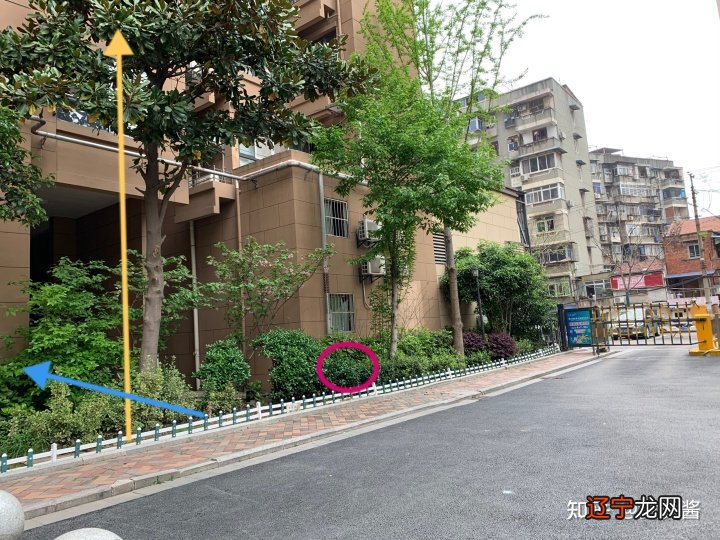 闽南语民歌 丢丢啊丢丢_丢丢平台2.7电脑版_梦见电脑丢了