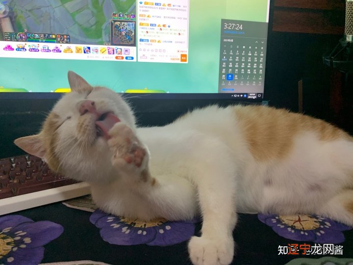 闽南语民歌 丢丢啊丢丢_梦见电脑丢了_丢丢平台2.7电脑版