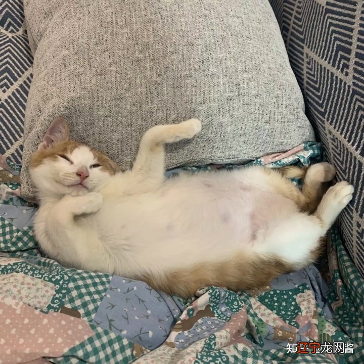 丢丢平台2.7电脑版_梦见电脑丢了_闽南语民歌 丢丢啊丢丢