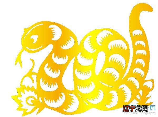 不同年份的属蛇人五行是什么属性？性格和命运有什么特点