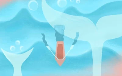 一 家居生活重要的建筑风水学有着有着哪些流派?