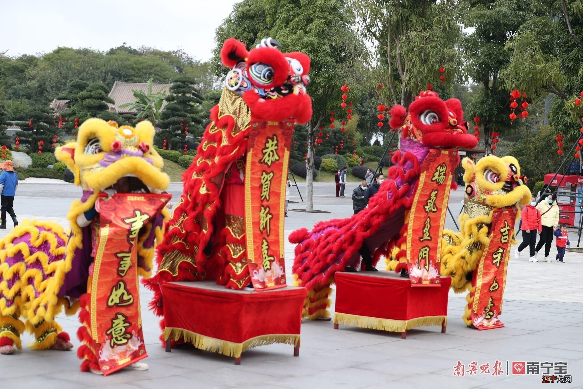 大年初一，南宁哪里最热闹？答案是：各大景区！