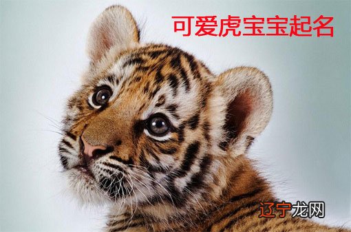 彤 虎年女孩取名最佳用字柔性柔！