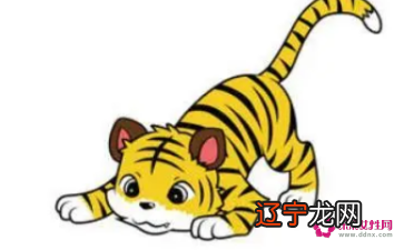 彤 虎年女孩取名最佳用字柔性柔！