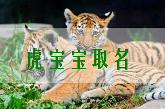 彤 虎年女孩取名最佳用字柔性柔!