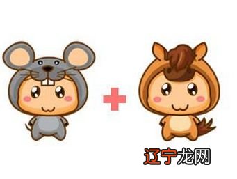 94年1月28日应该属什么生肖_属蛇的2020年应该忌哪些生肖_19651月8日年属什么生肖