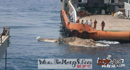 你知道时怎么回事吗?掉进水里是一件很危险的事情