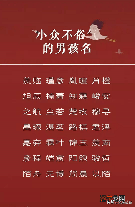西红柿妈妈给儿子起名字,结果影响孩子的性格!