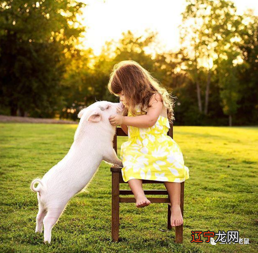 8月13日,好运连连来,得遇财神眷顾的生肖